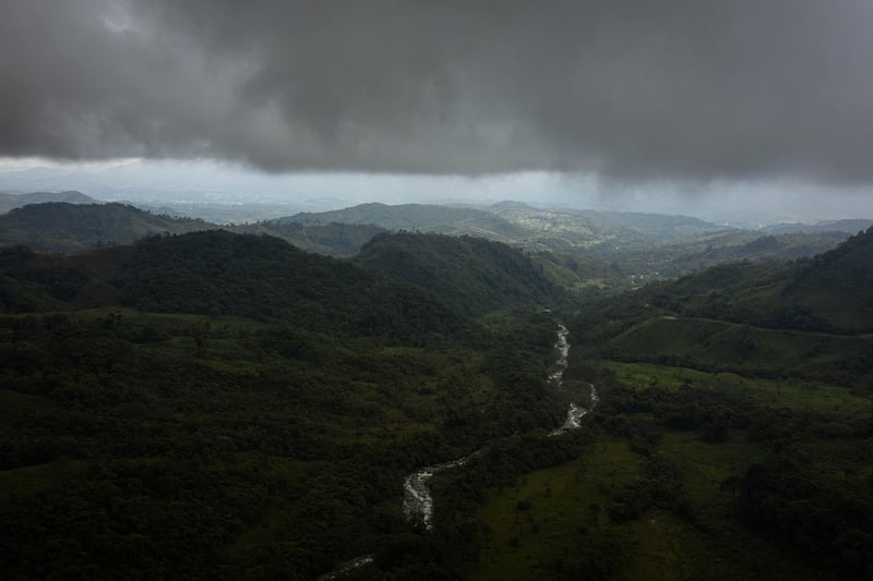Amazon Rainforest